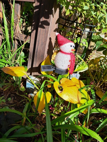 ホスタの紅葉と雪だるま