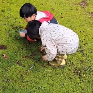 越前陶芸村公園/ドングリ拾い