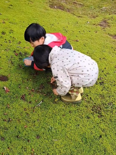 越前陶芸村公園/ドングリ拾い