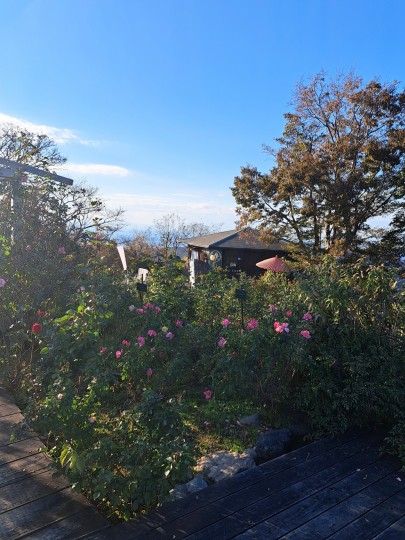 レインボーライン山頂公園パラ園