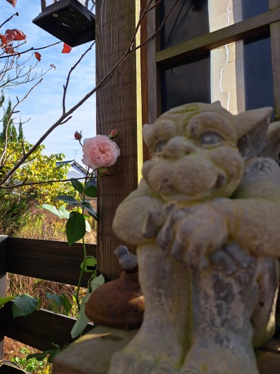 ジオルブライトン