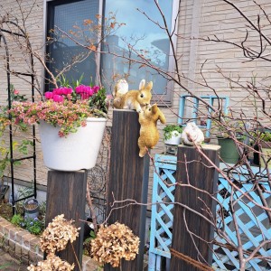 フロントガーデン