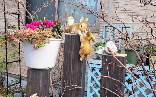 フロントガーデン