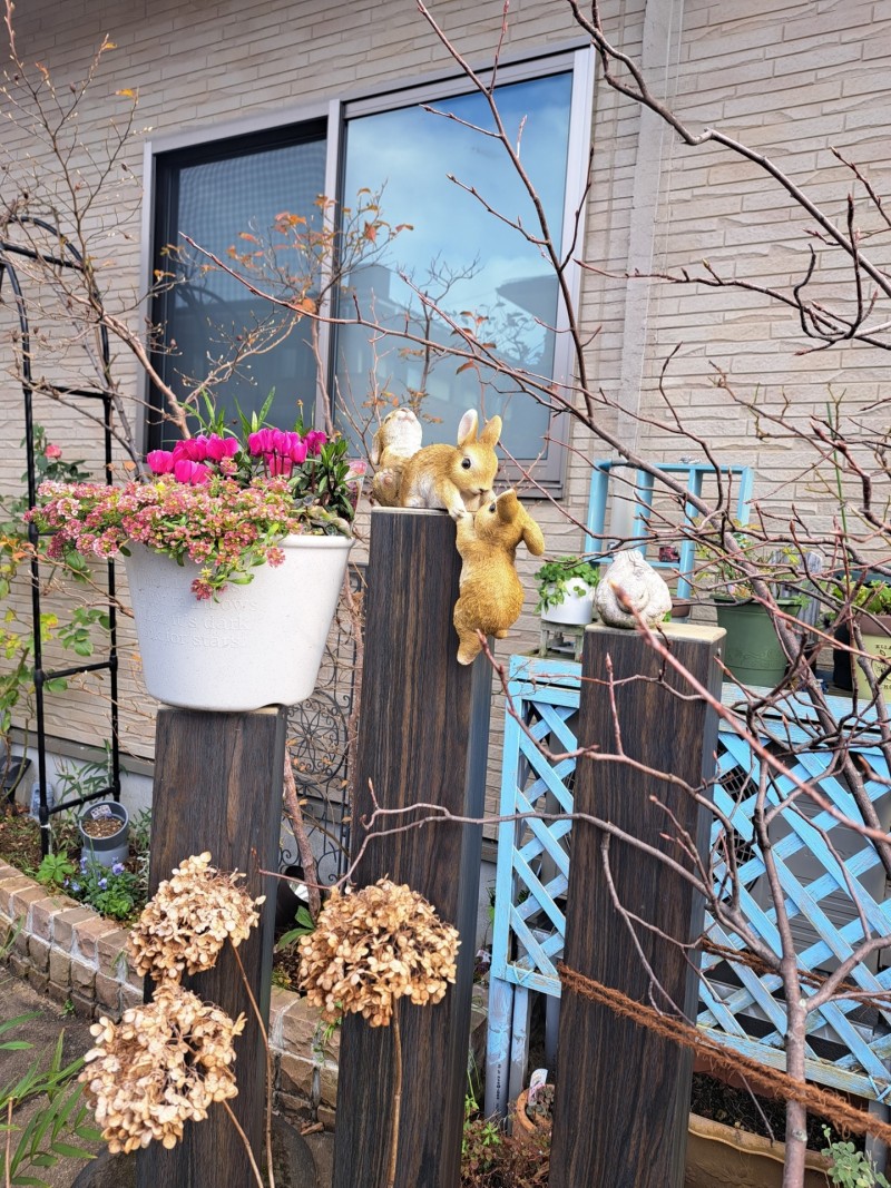 フロントガーデン