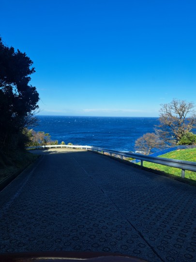 越前海岸/水仙ランド