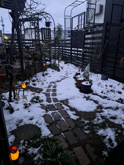 庭の雪景色