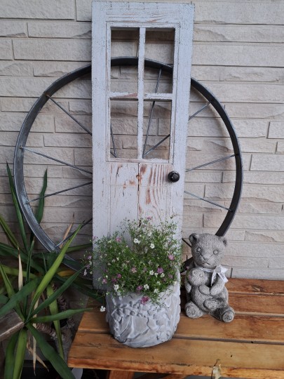 玄関ポ－チの鉢植え/カスミソウ・ジプシー