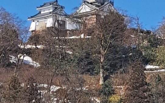 アイキャッチ画像/越前大野城