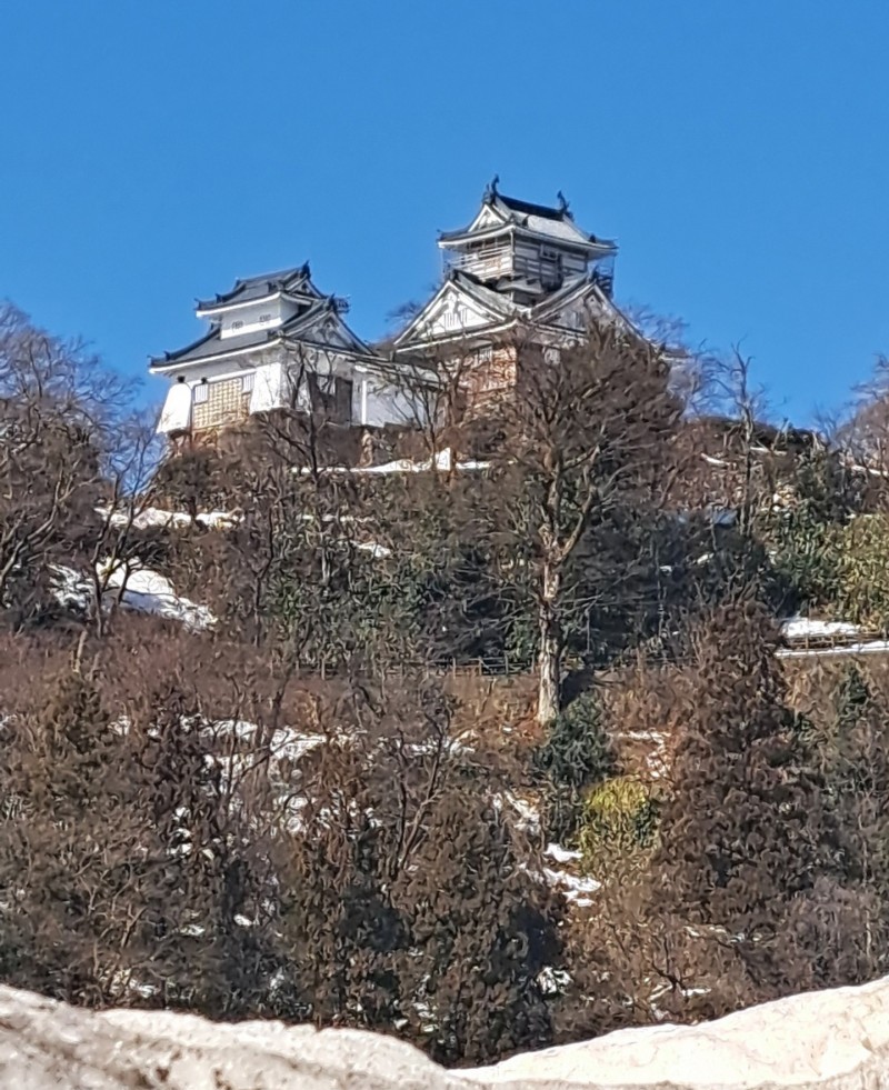 アイキャッチ画像/越前大野城