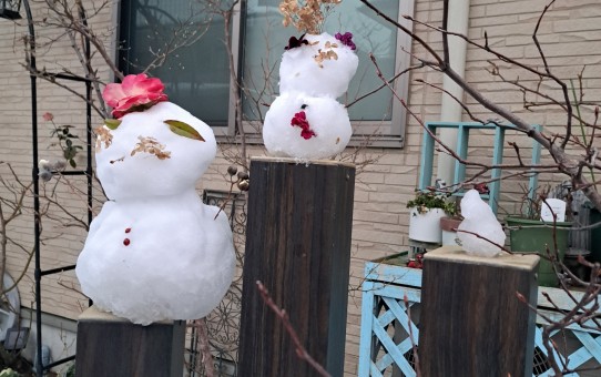 孫っち達と作った雪だるま