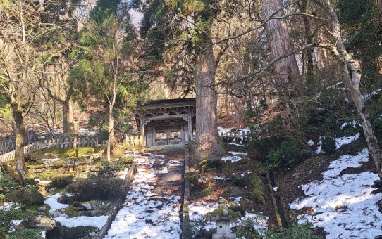 勅使門(ちょくしもん)唐門