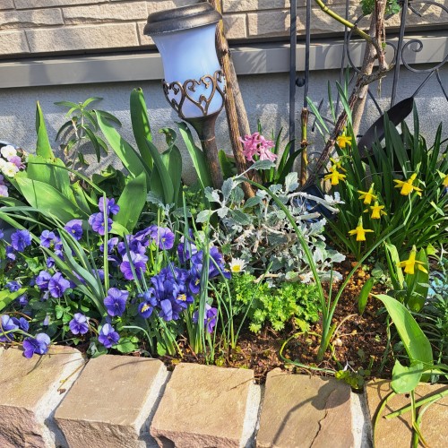 フロントガ-デン