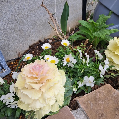 20260325_094644~2 (002)