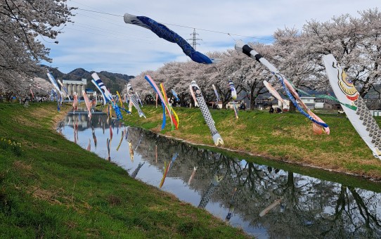 中河の春まつり/