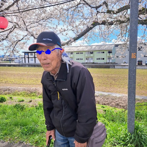 おじいさんの肩に乗っかるインコ