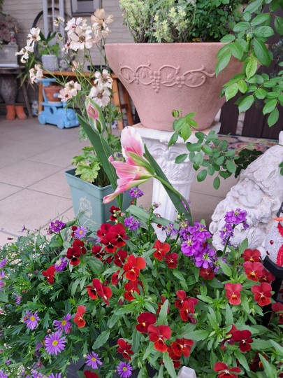 チューリップ・スプリンググリーン