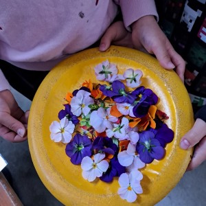 孫っちがの花遊び