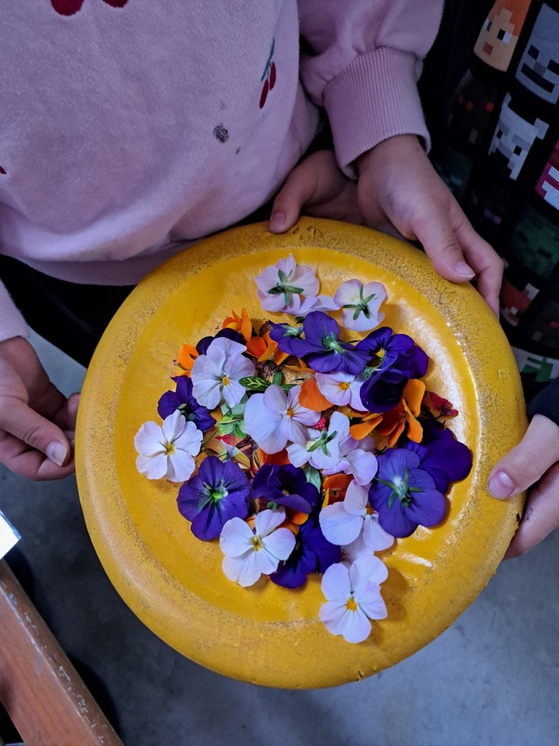 孫っちがの花遊び