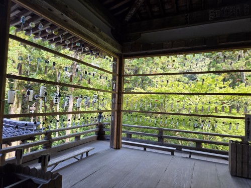 石山寺/本堂