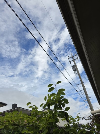 2026年8月30日