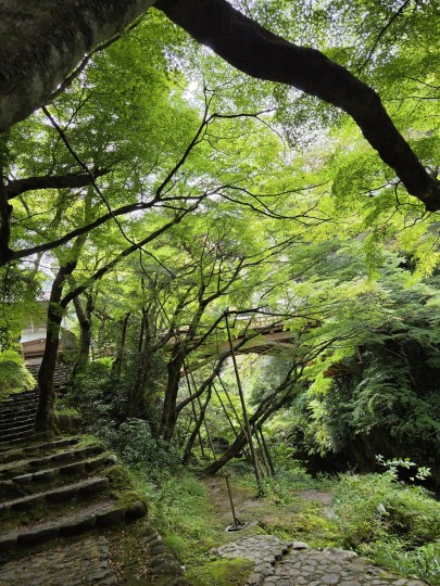 鶴仙渓の遊歩道/こおろぎ橋