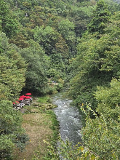 あやとり橋からの鶴仙渓と川床