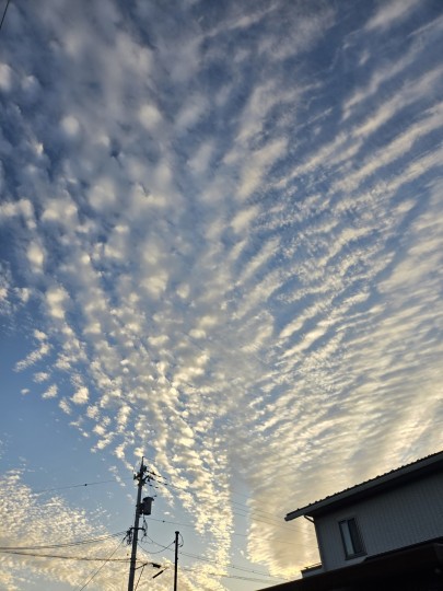 夕焼け空