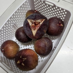 イチジク