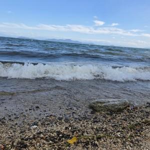 琵琶湖
