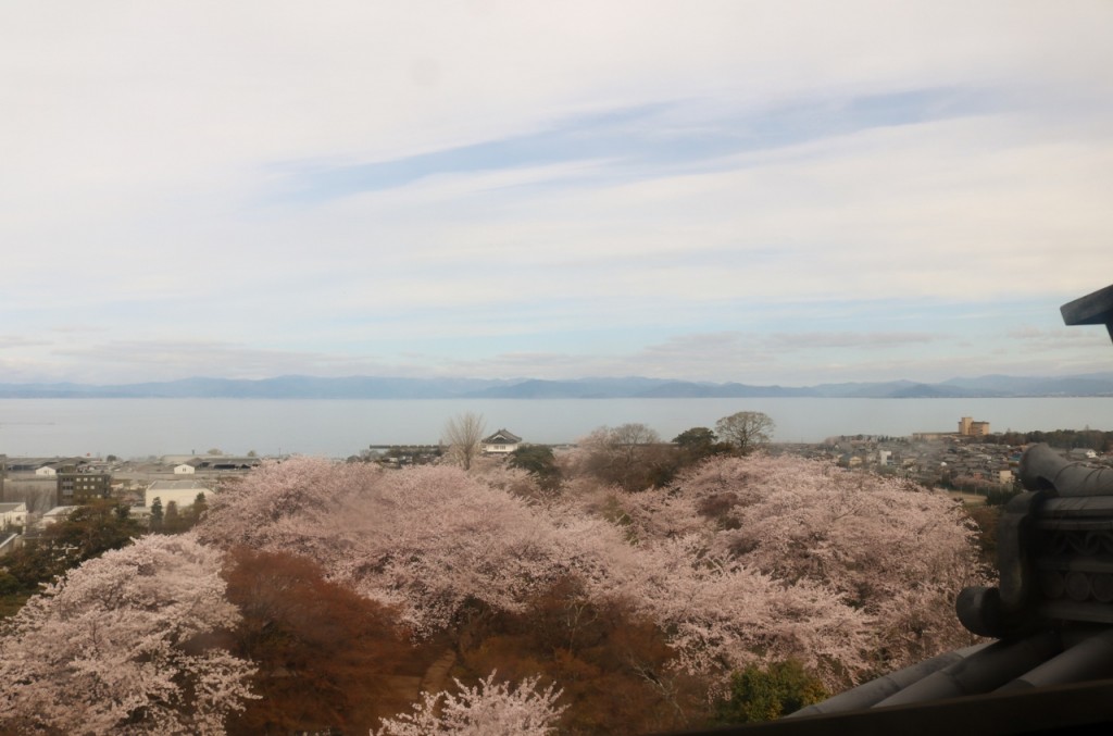 彦根城天守閣から見た琵琶湖