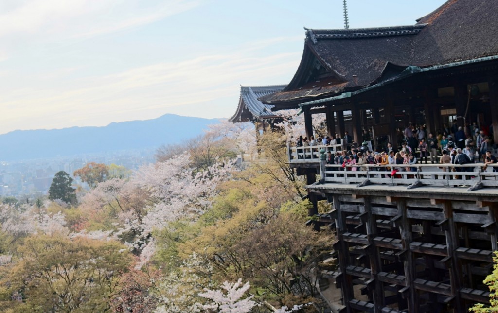 清水寺の桜