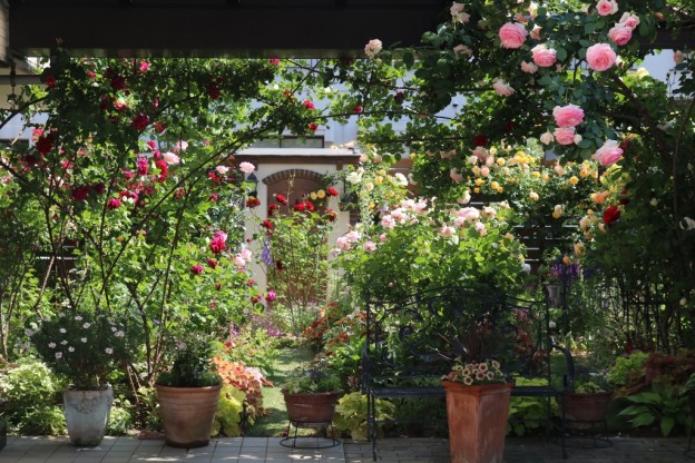 薔薇の咲く庭 さわやか信州の庭 Toledo