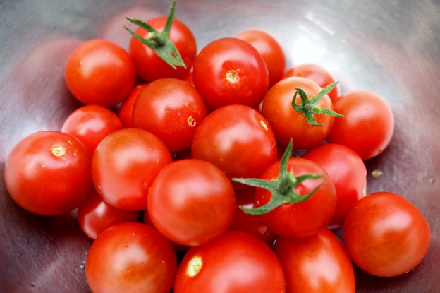 小さな家庭菜園のミニトマト